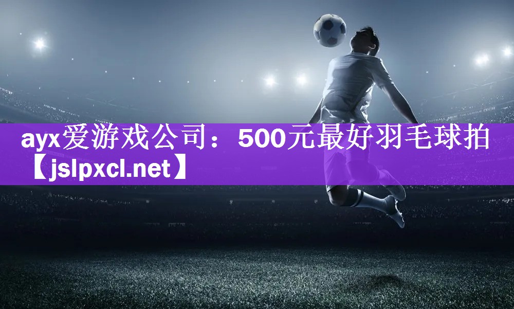 500元最好羽毛球拍